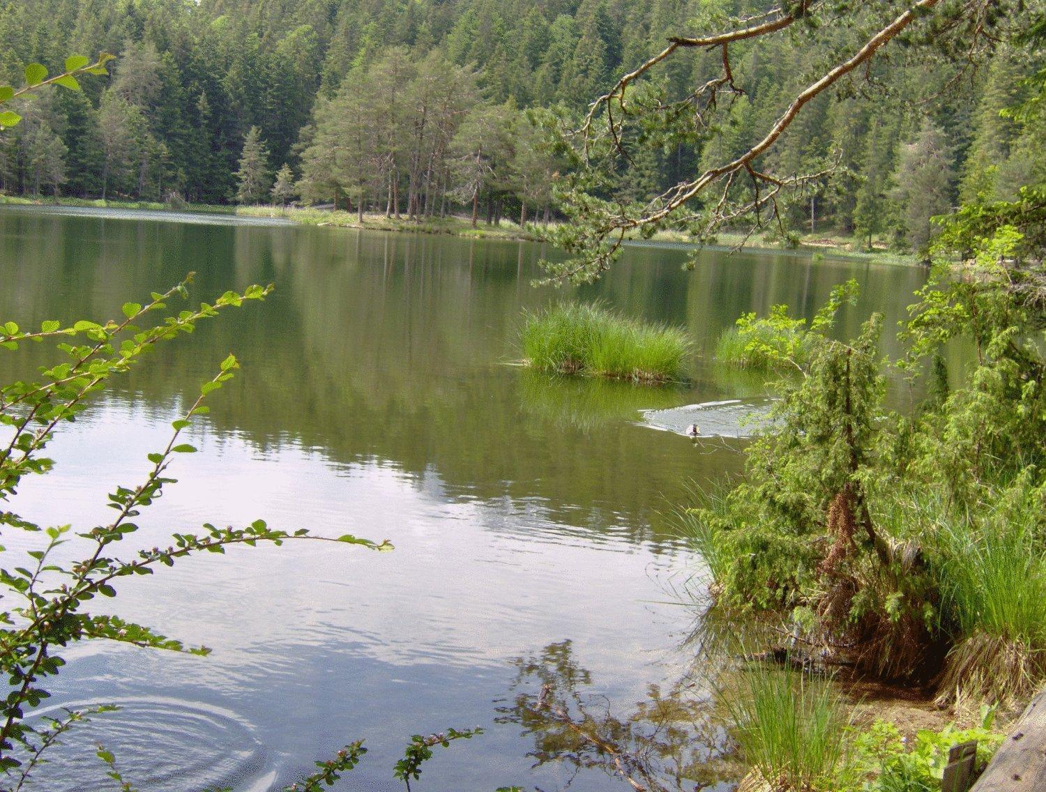 Pension Plattenhof Telfs Zewnętrze zdjęcie